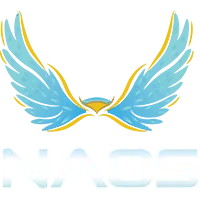 哈维精准助,亨里希斯妙,传助力德甲,pa真人娱乐官方网站,视频直播,免费试玩,PlayAce